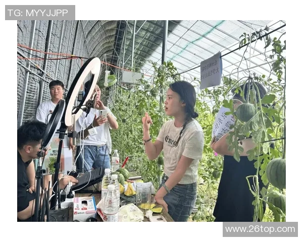 京东与冈山绿鸡的较量：电商巨头如何影响地方特色农产品的发展